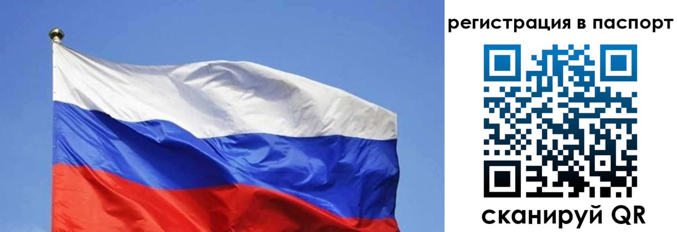 прописка в квартире в Эртили